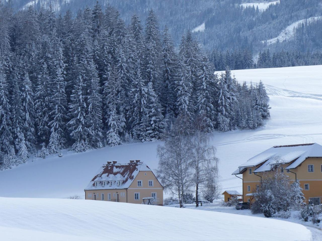 Ferienhaus Wohleser Mariahof Exterior photo