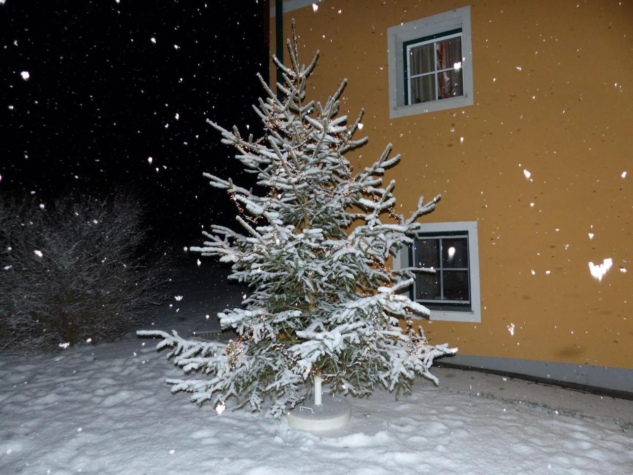 Ferienhaus Wohleser Mariahof Exterior photo